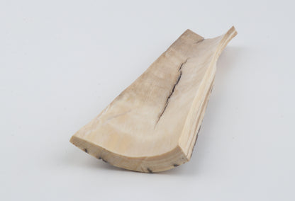 Brown-white mammoth bark