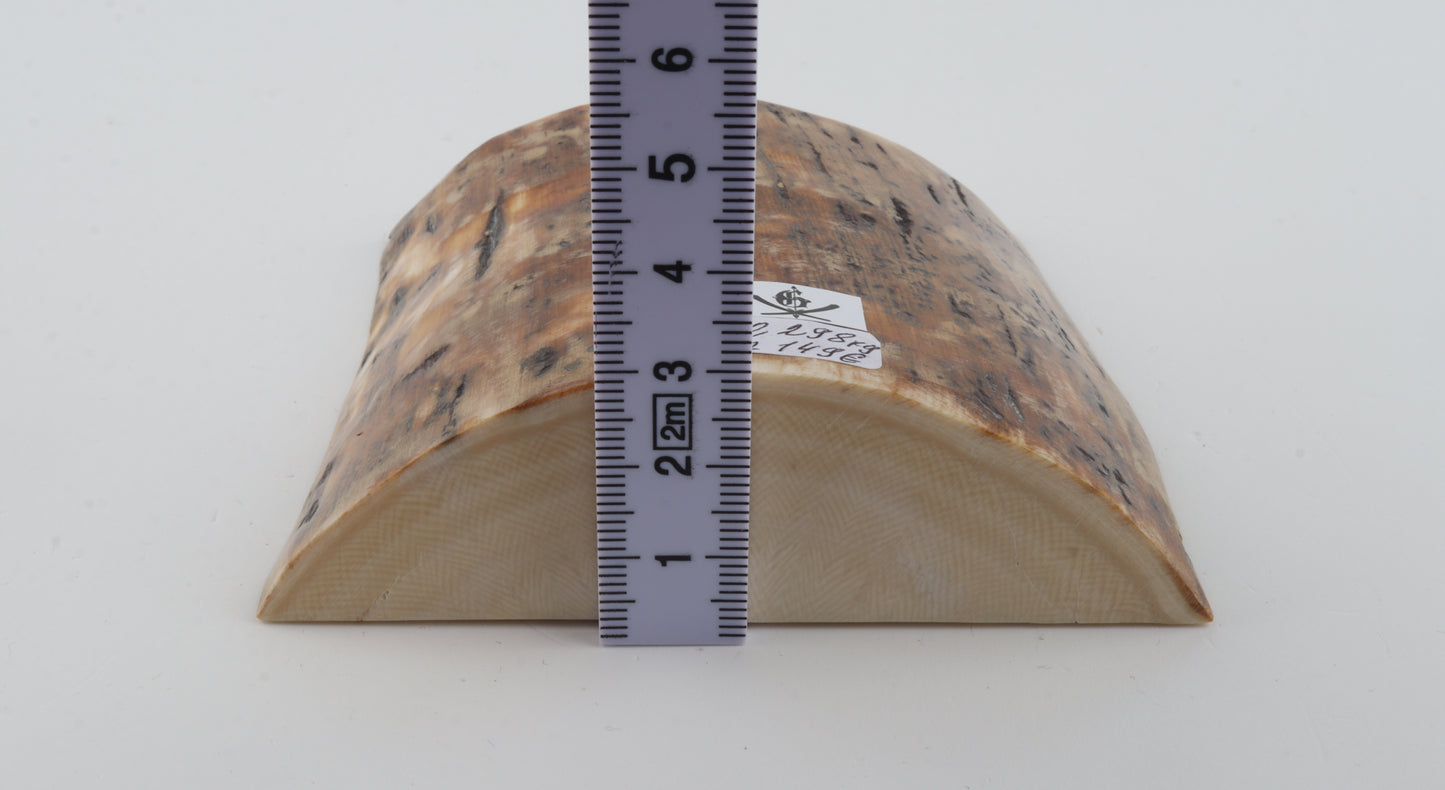 Natural mammoth bark