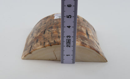 Natural mammoth bark