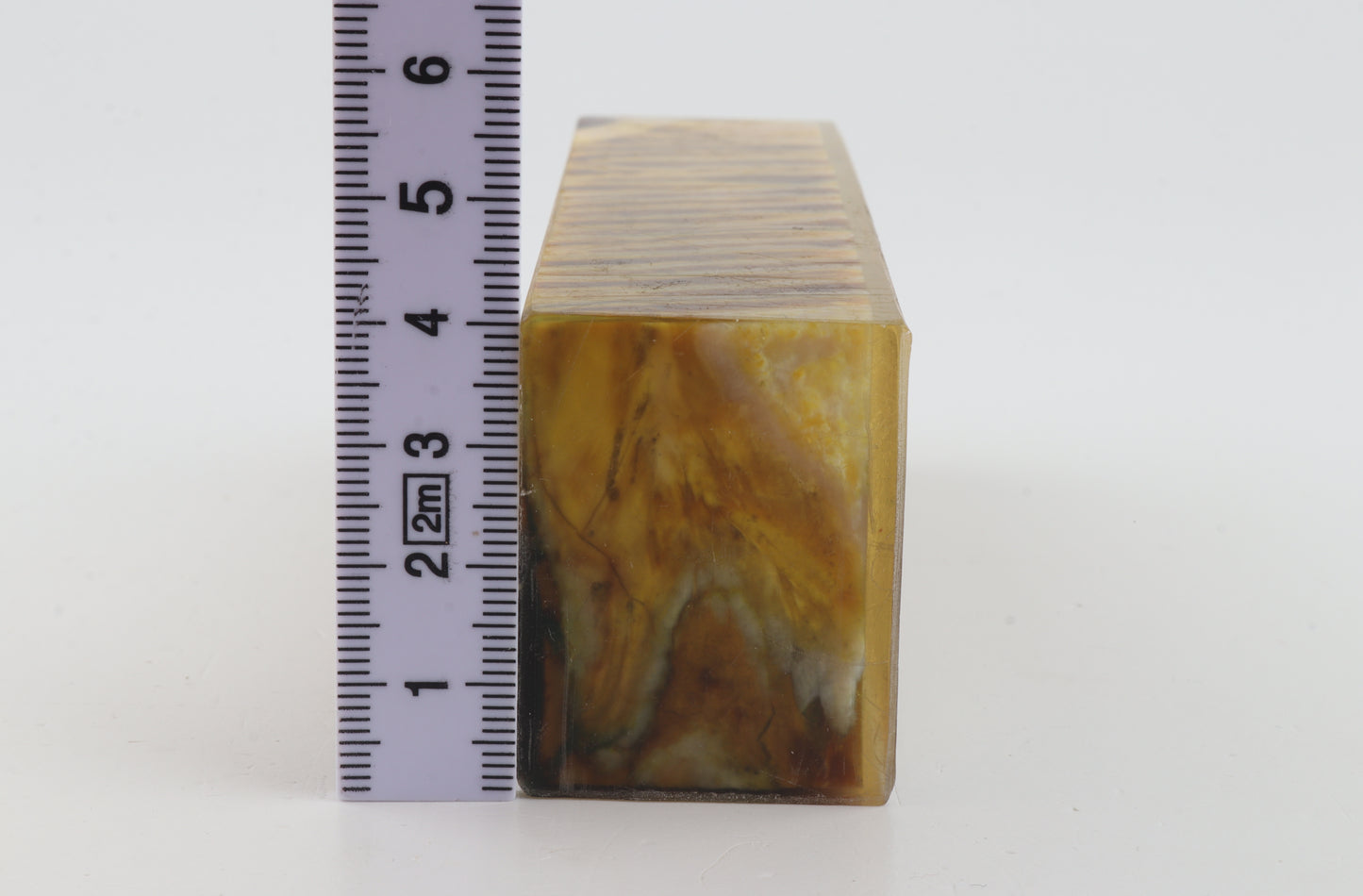 Stabilized mammoth molar block
