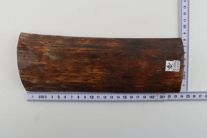 Brown-caramel mammoth bark