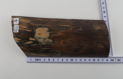 Brown-blue mammoth bark