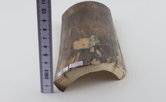 Brown-blue mammoth bark