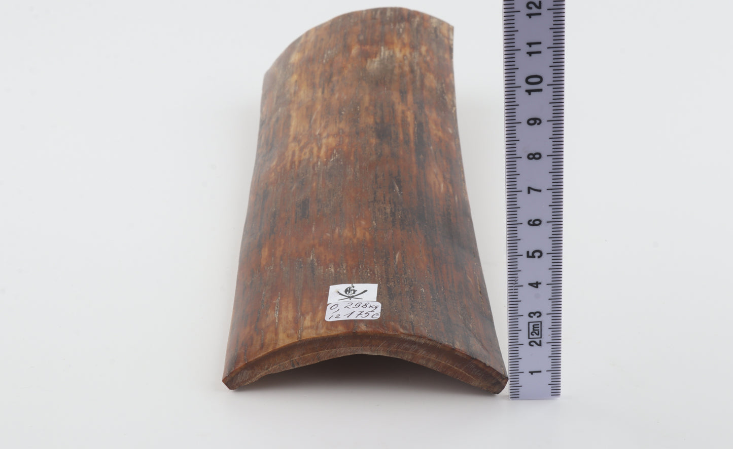 Brown-caramel mammoth bark