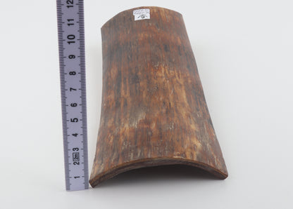 Brown-caramel mammoth bark