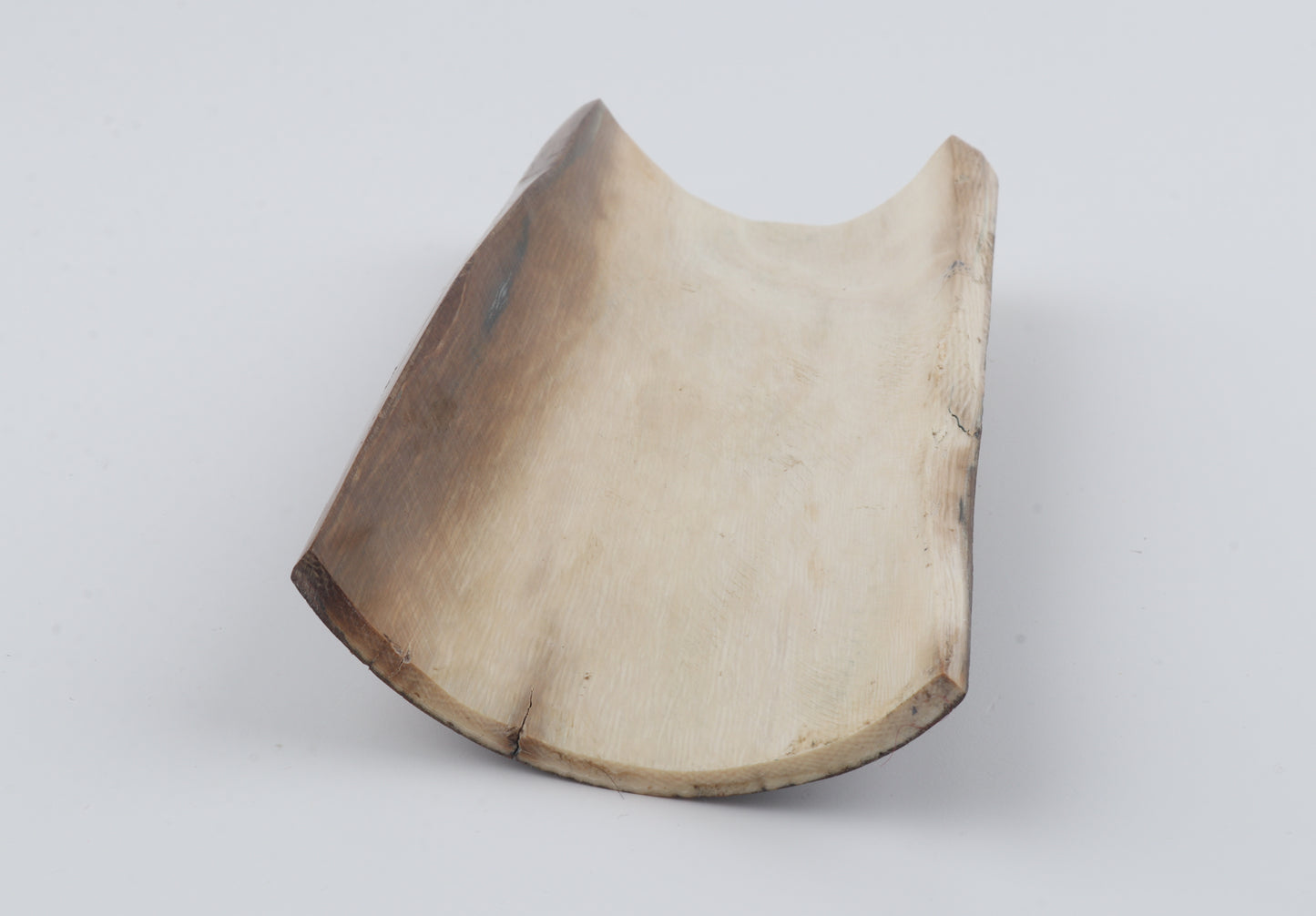 Brown-blue mammoth bark