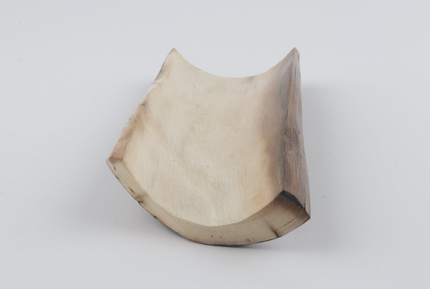 Brown-blue mammoth bark