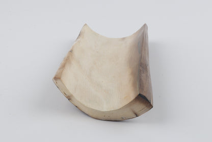 Brown-blue mammoth bark