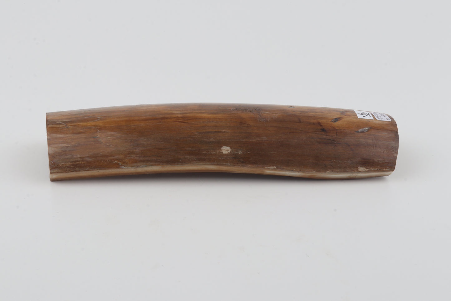 Natural mammoth bark