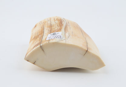 Natural mammoth ivory piece