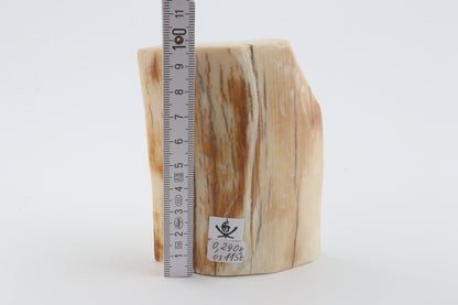 Natural mammoth ivory piece