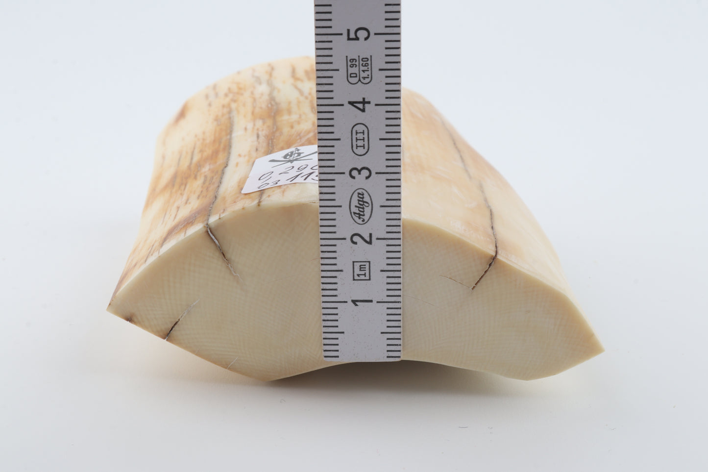 Natural mammoth ivory piece