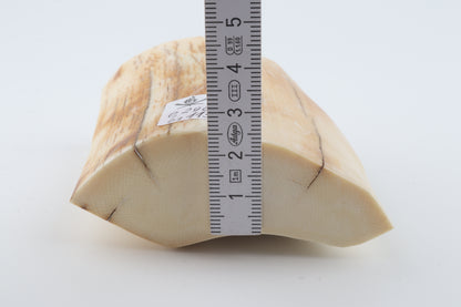 Natural mammoth ivory piece