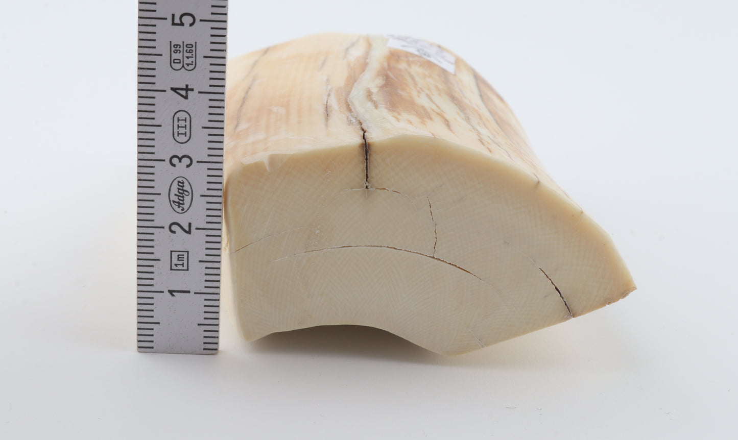 Natural mammoth ivory piece