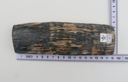Creme-blue mammoth bark