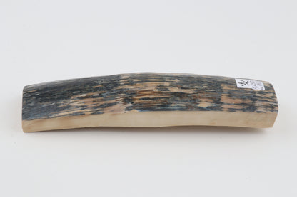 Creme-blue mammoth bark