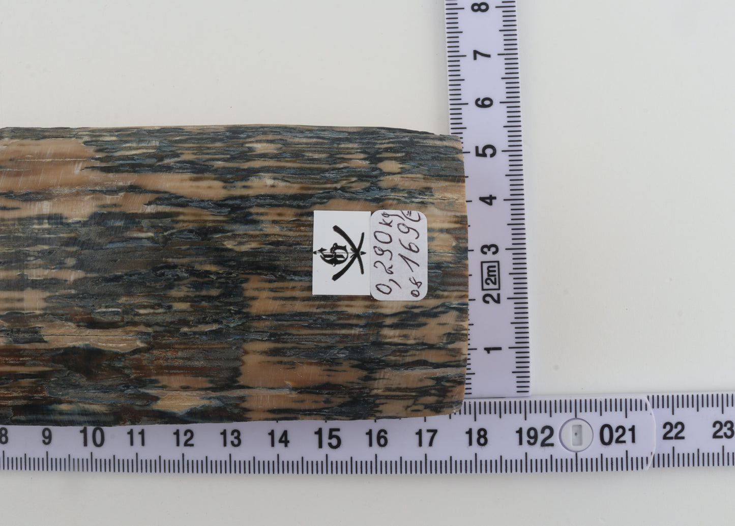 Creme-blue mammoth bark
