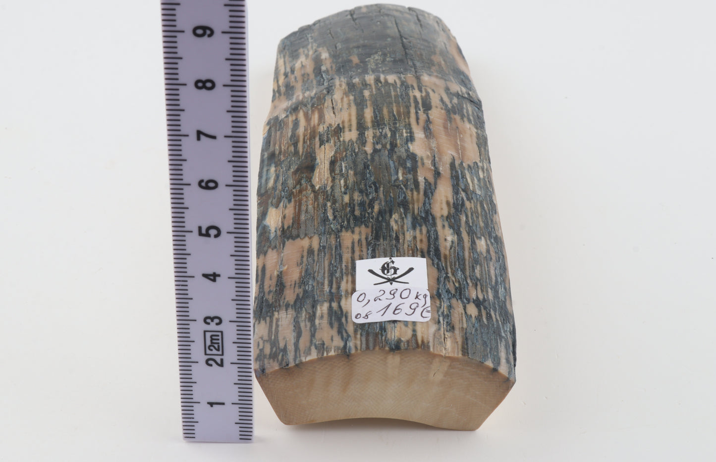 Creme-blue mammoth bark