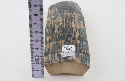 Creme-blue mammoth bark