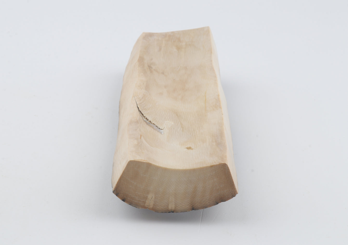 Creme-blue mammoth bark