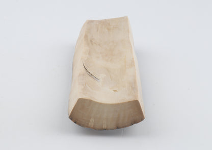 Creme-blue mammoth bark