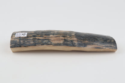 Creme-blue mammoth bark