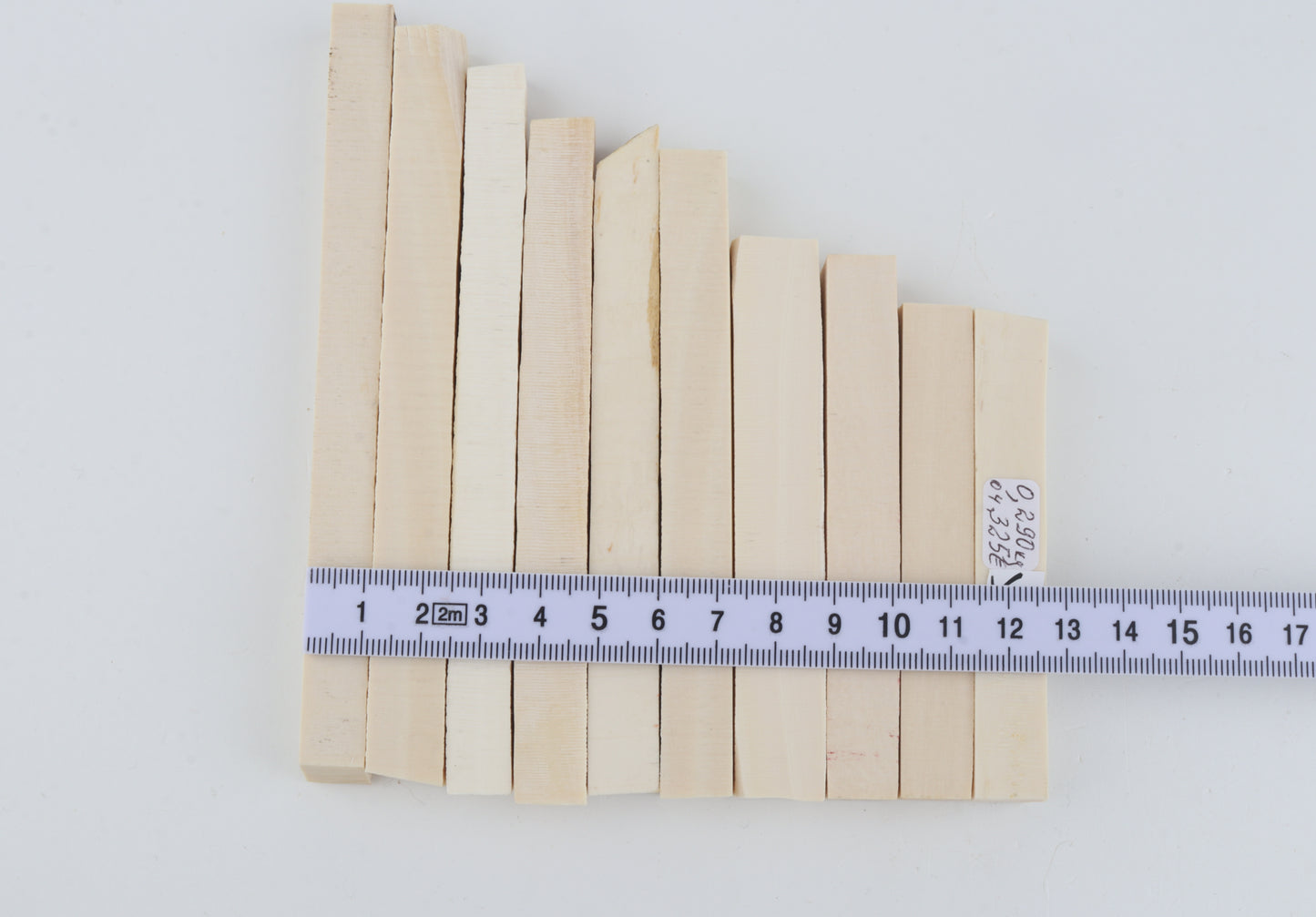 White mammoth ivory segments