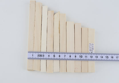 White mammoth ivory segments