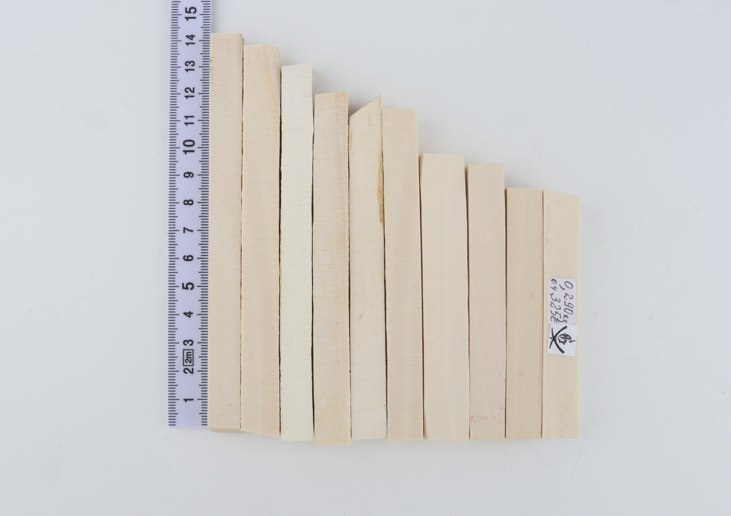 White mammoth ivory segments