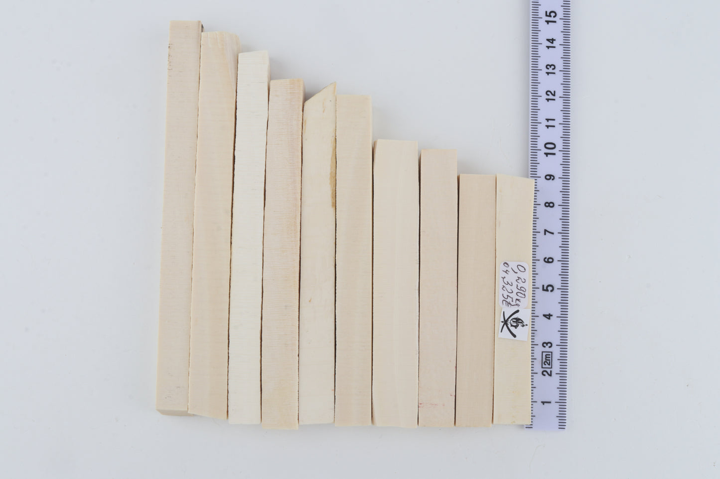 White mammoth ivory segments