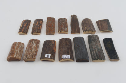 Natural mammoth bark pieces