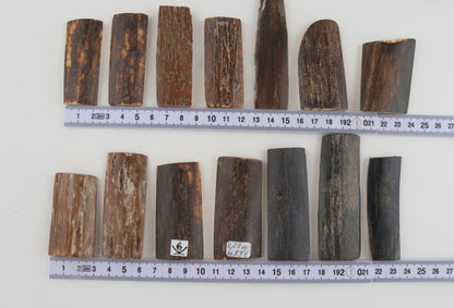 Natural mammoth bark pieces