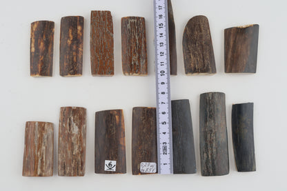 Natural mammoth bark pieces