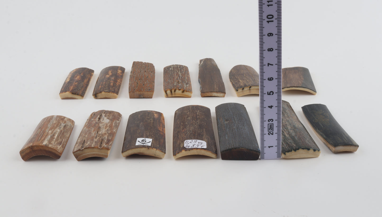 Natural mammoth bark pieces