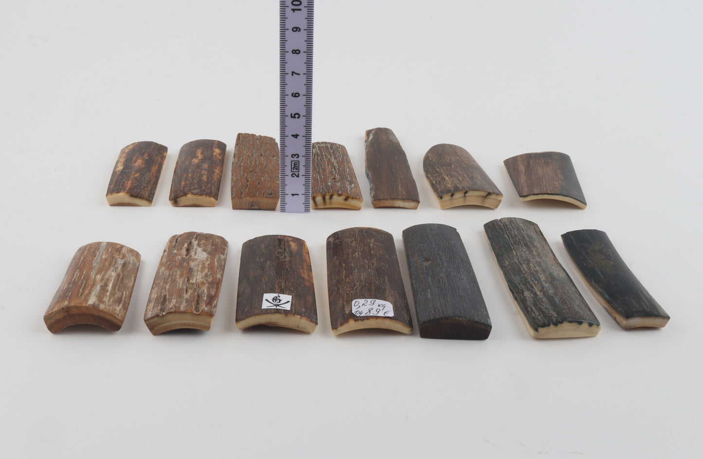Natural mammoth bark pieces