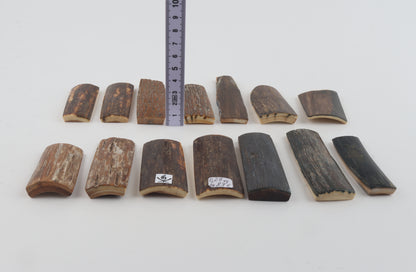 Natural mammoth bark pieces