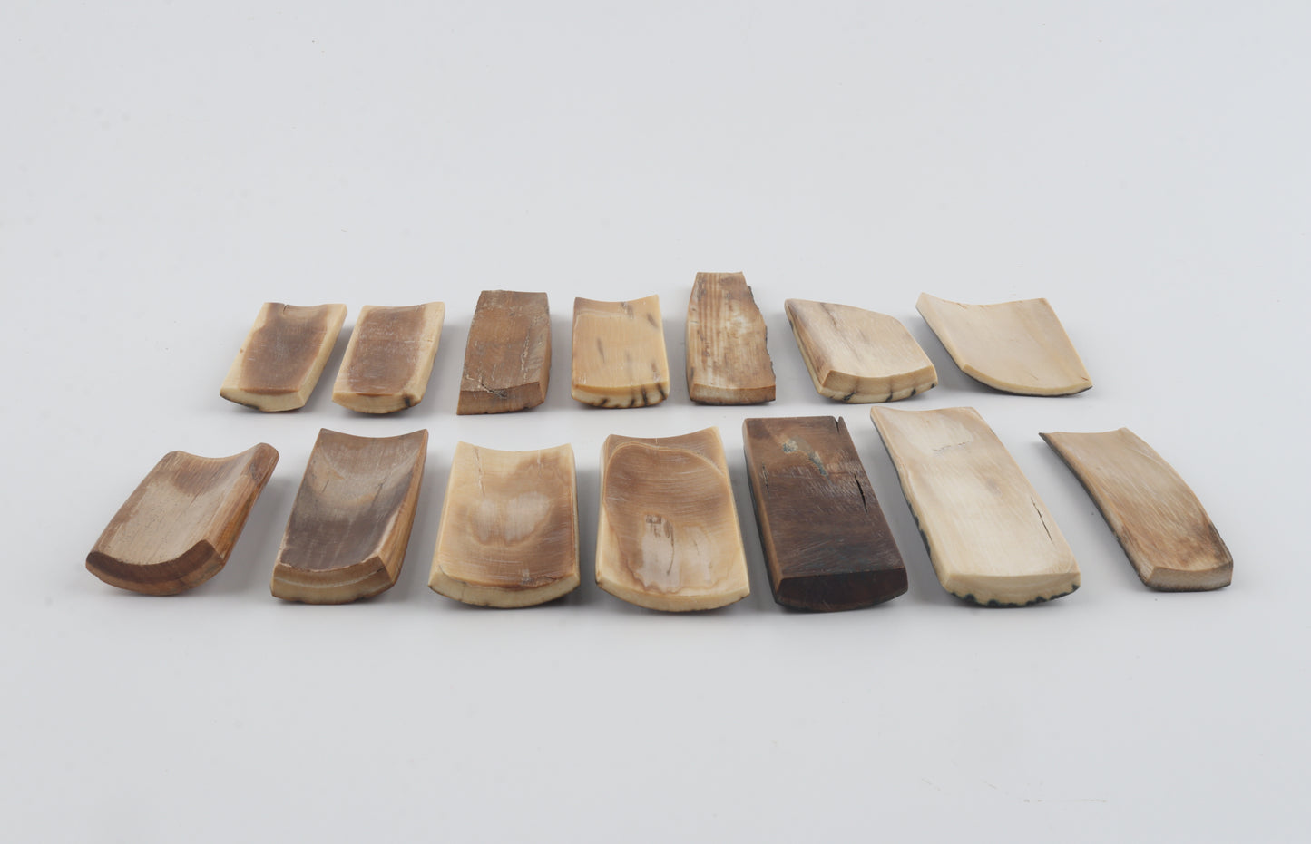 Natural mammoth bark pieces