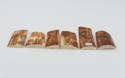 Natural mammoth bark pieces