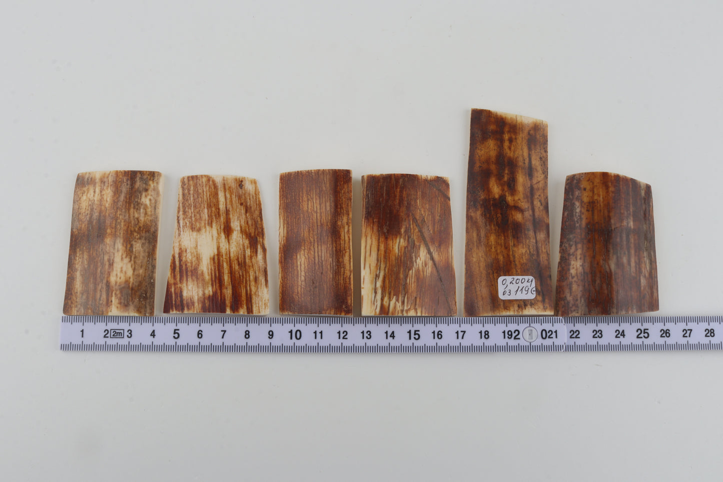 Natural mammoth bark pieces