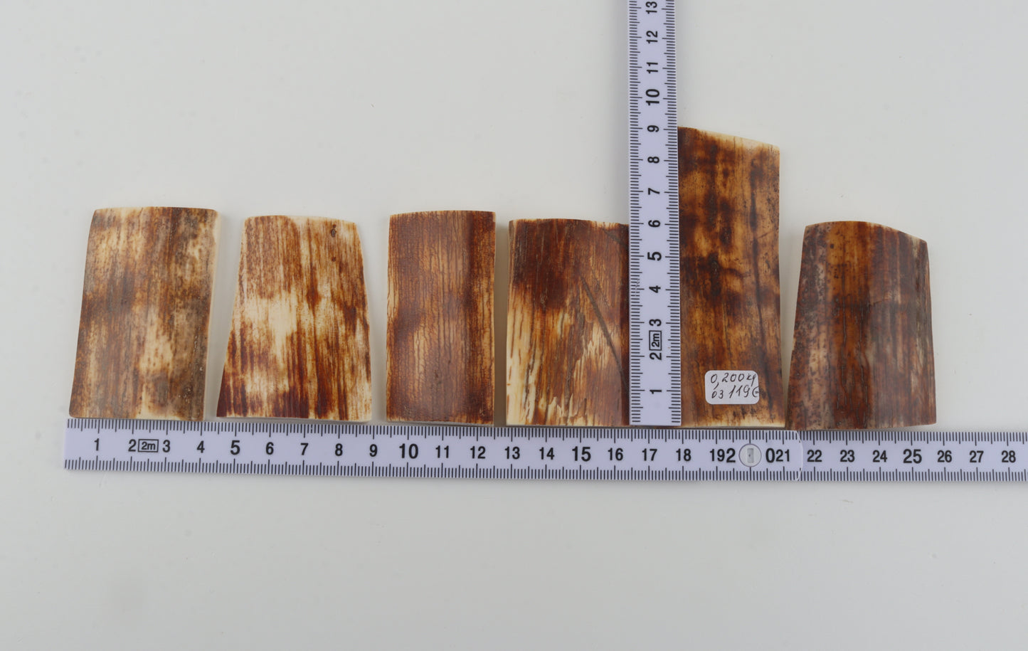 Natural mammoth bark pieces