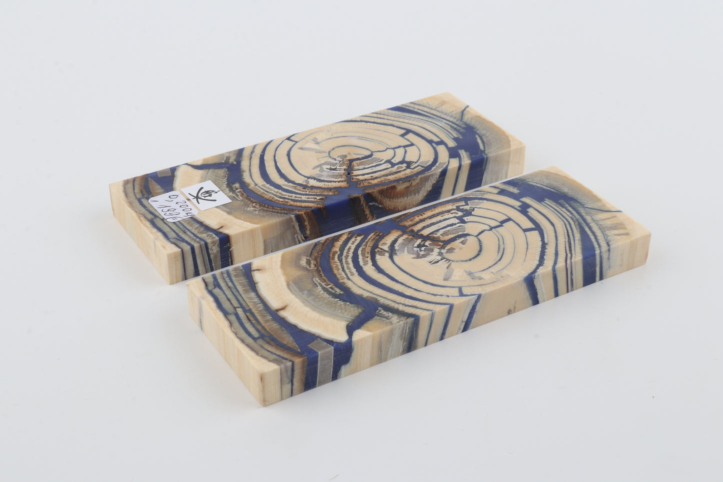 Stabilised mammoth ivory scales