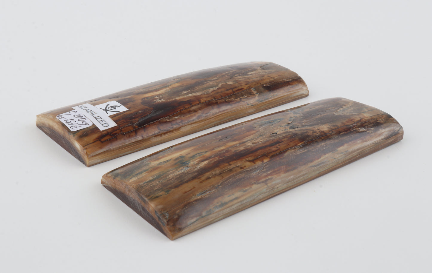 Stabilised mammoth bark scales