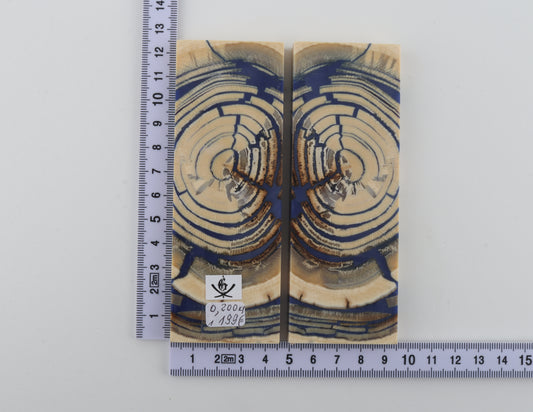 Stabilised mammoth ivory scales