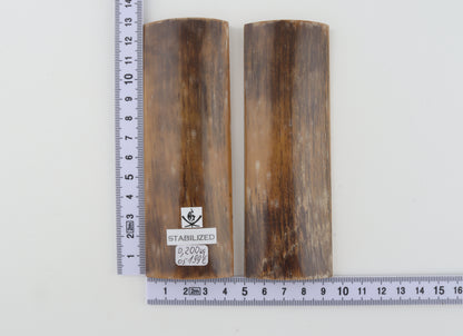 Stabilized mammoth bark scales