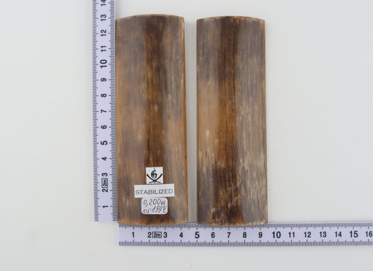 Stabilized mammoth bark scales