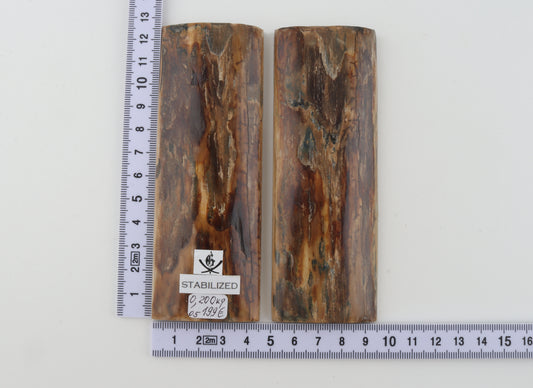Stabilised mammoth bark scales