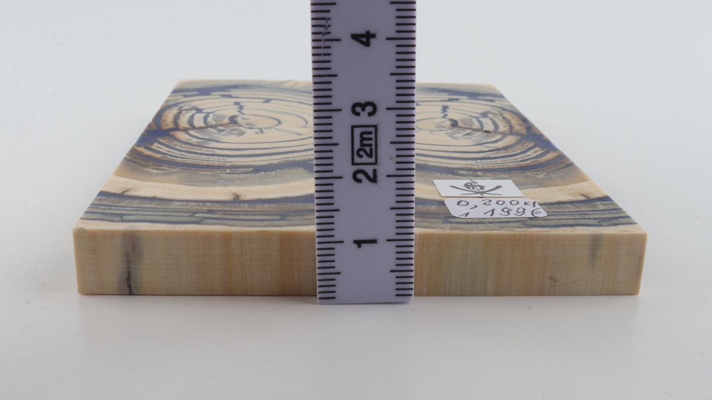 Stabilised mammoth ivory scales