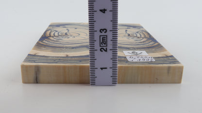 Stabilised mammoth ivory scales