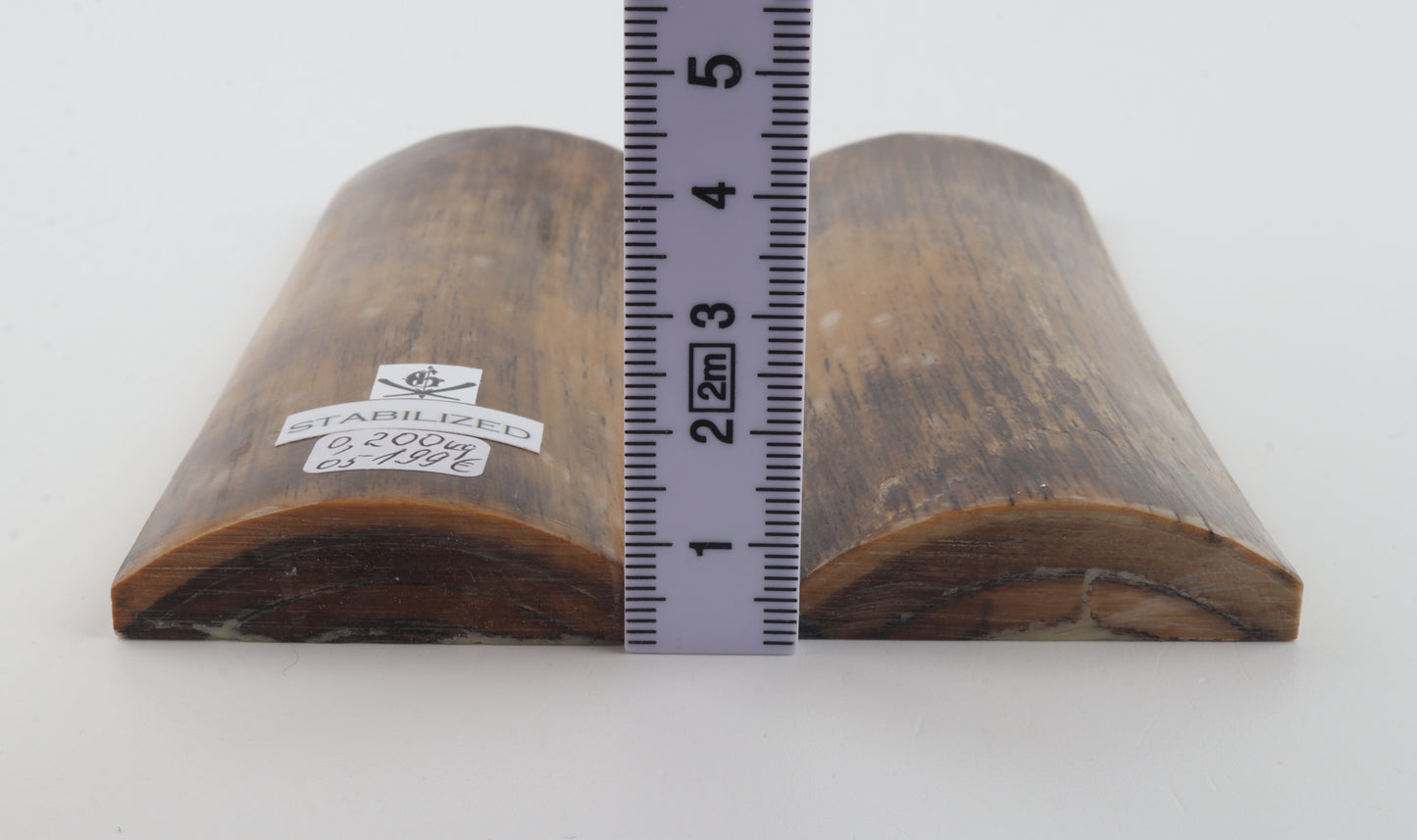 Stabilized mammoth bark scales