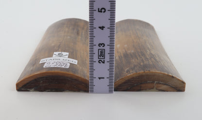 Stabilized mammoth bark scales